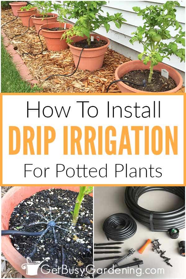 Come installare un sistema di irrigazione a goccia fai da te per le piante in vaso