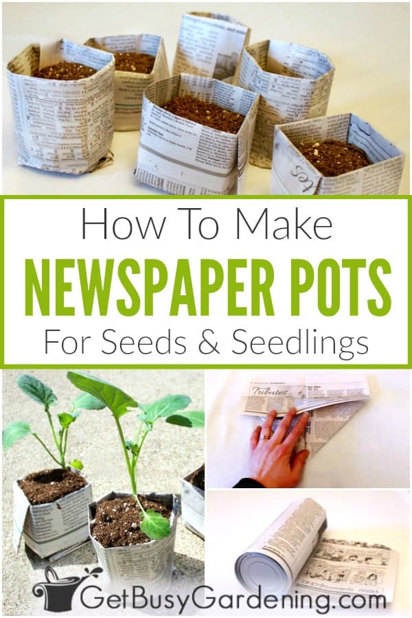 Semplici vasi per la semina fai da te in carta di giornale