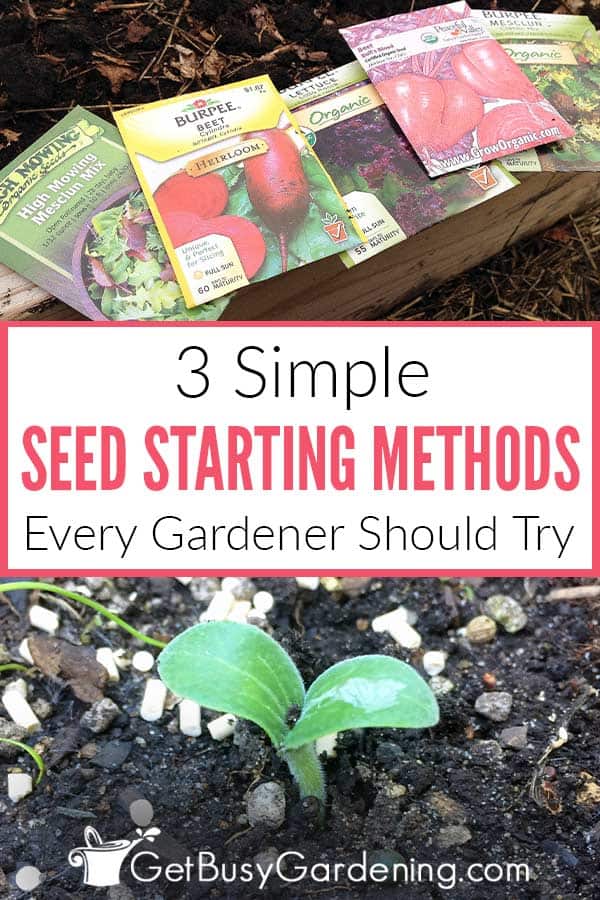 Metodi di semina che ogni giardiniere dovrebbe provare